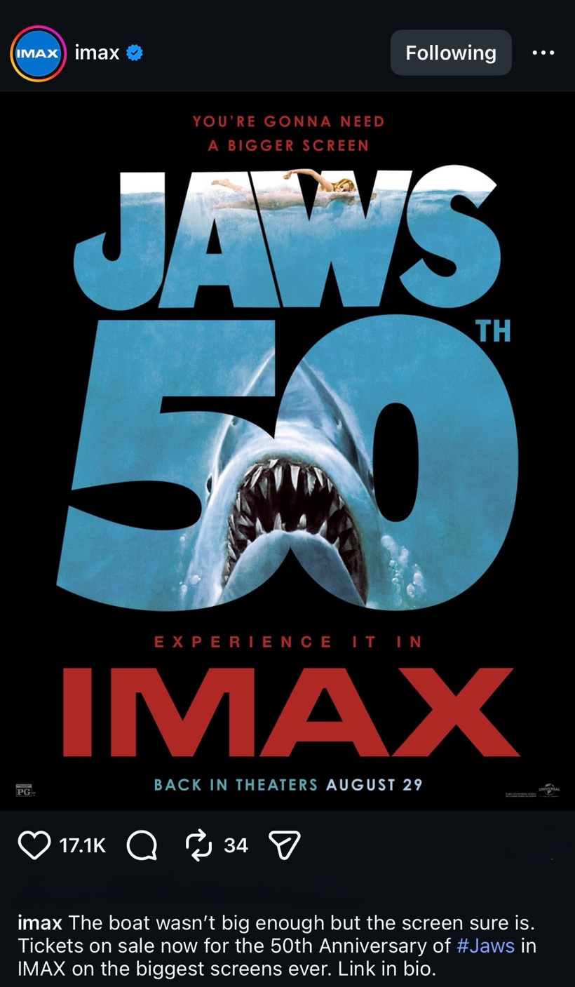 IMAX Weapons chicken soup